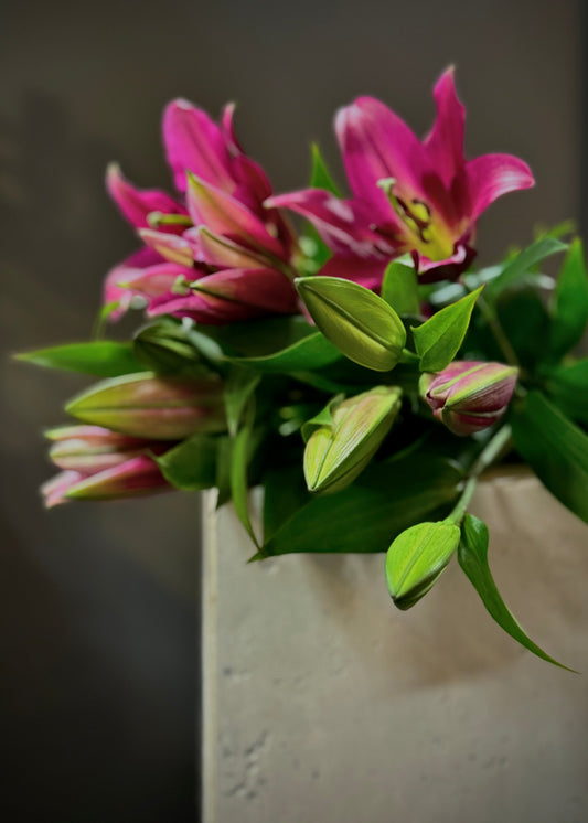 Pink Lily (Bunch)