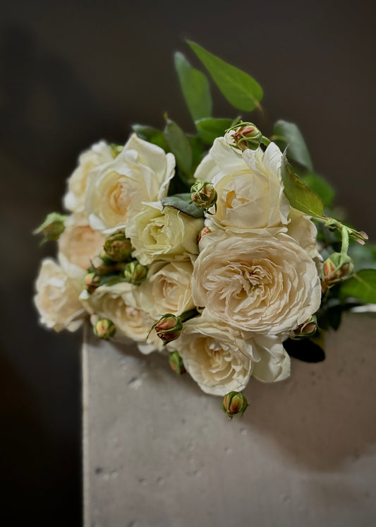 Scented David Austin Roses (Bunch)