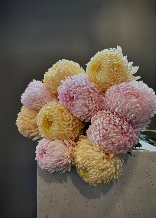 Mixed Chrysanthemums (Bunch)
