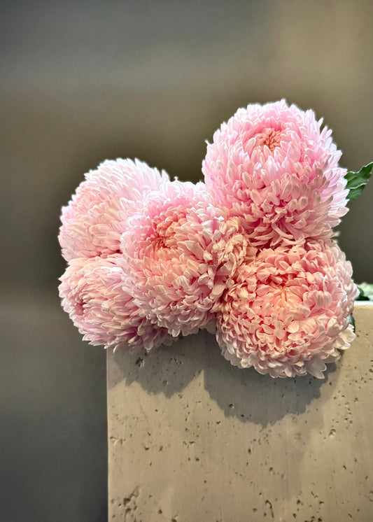 Pink Chrysanthemums (Bunch)