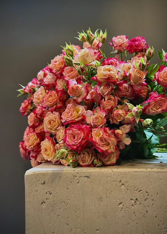 Spray Roses (Bunch)