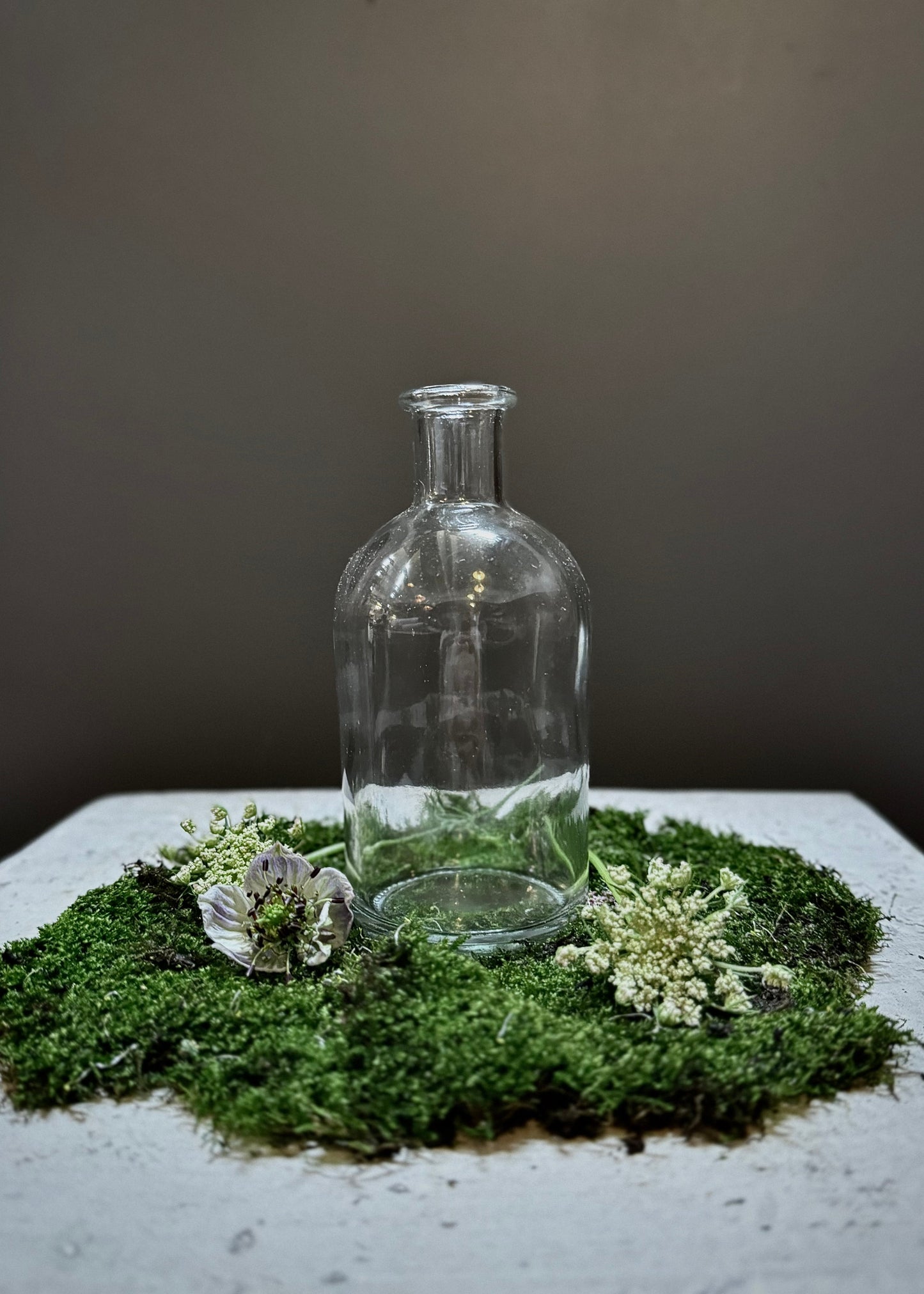 Apothecary Propagation Bottle