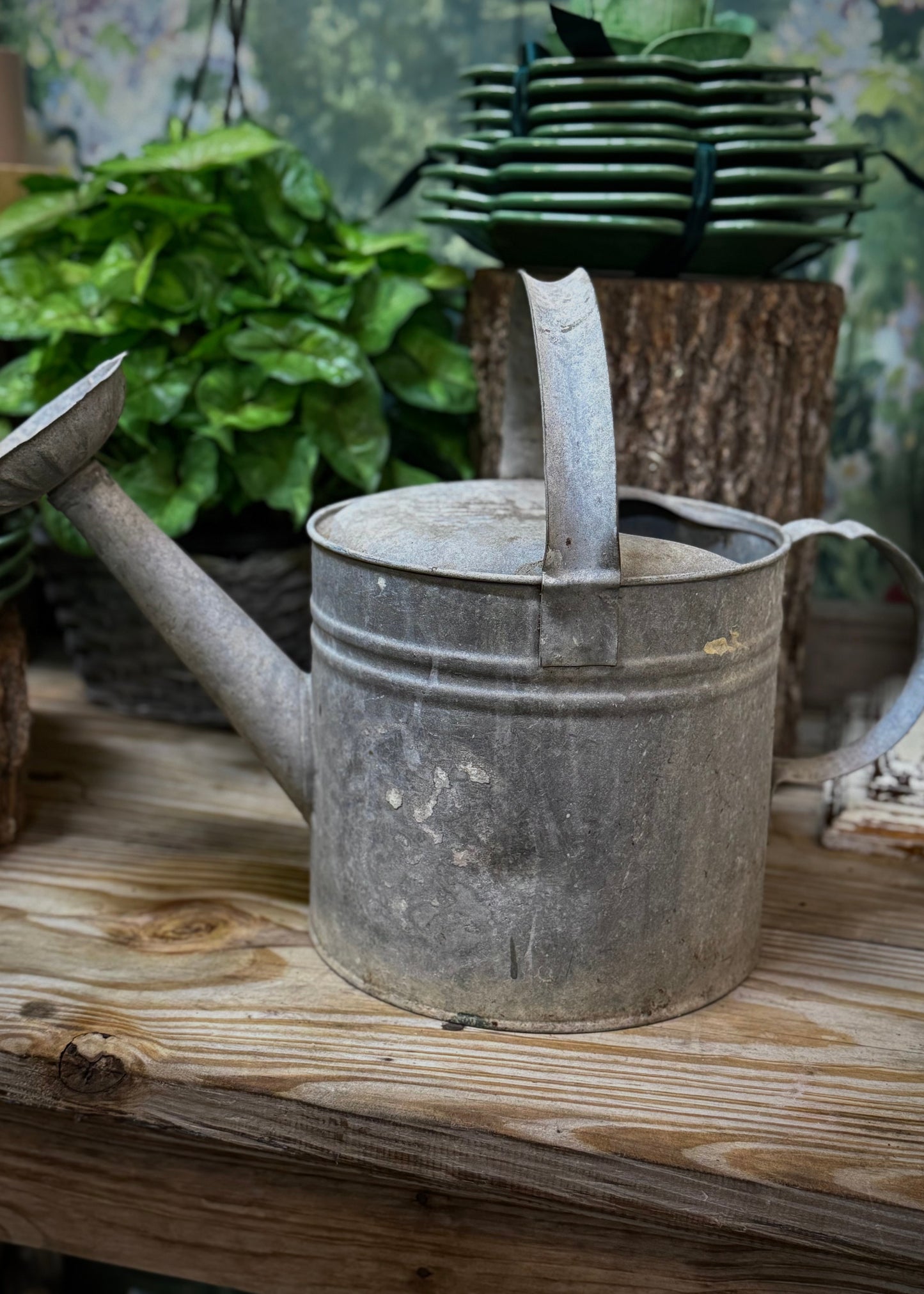 Rustic Vintage Watering Can
