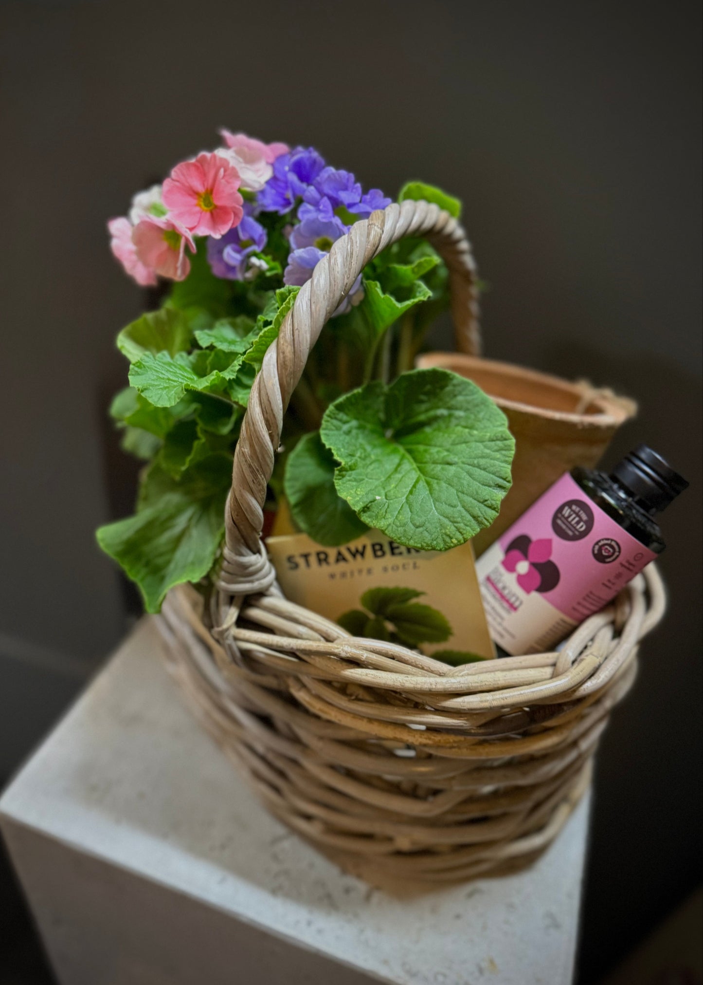 Garden Gift Hamper