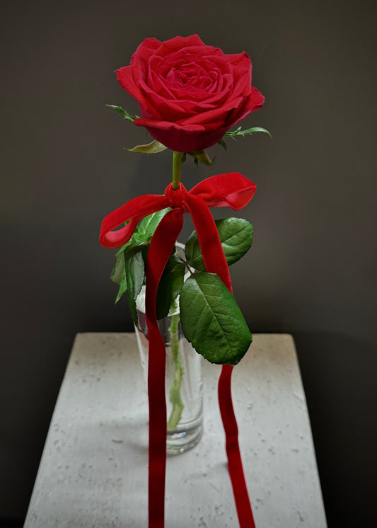 Red Rose in Vase (Single)