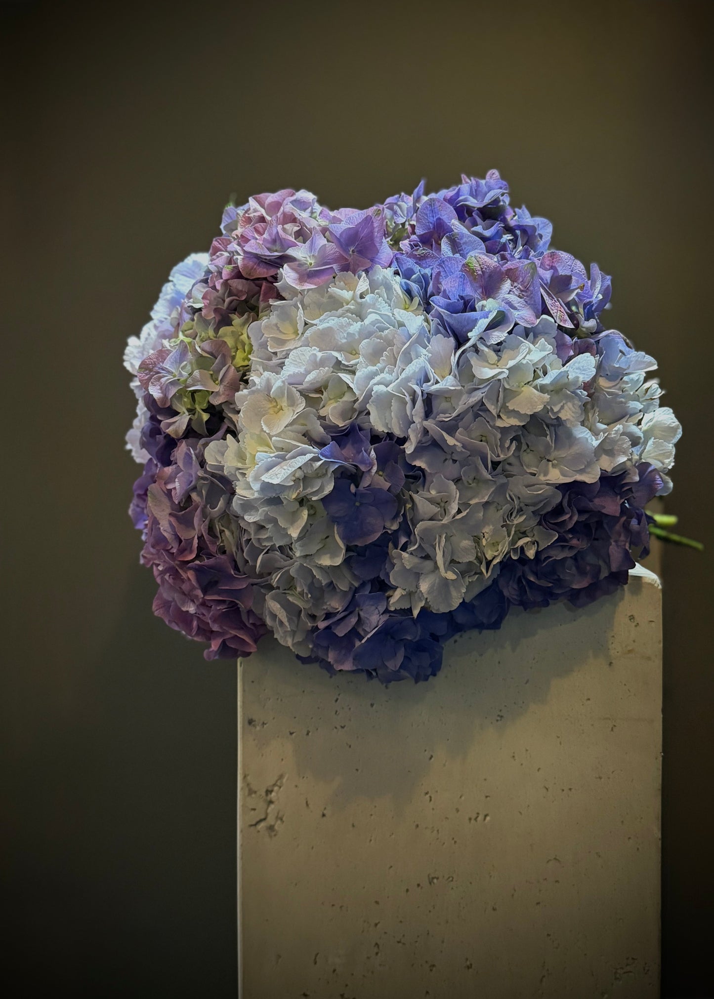 Blue Hydrangea (Bunch)