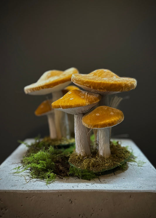 Forest Mushroom Decoration