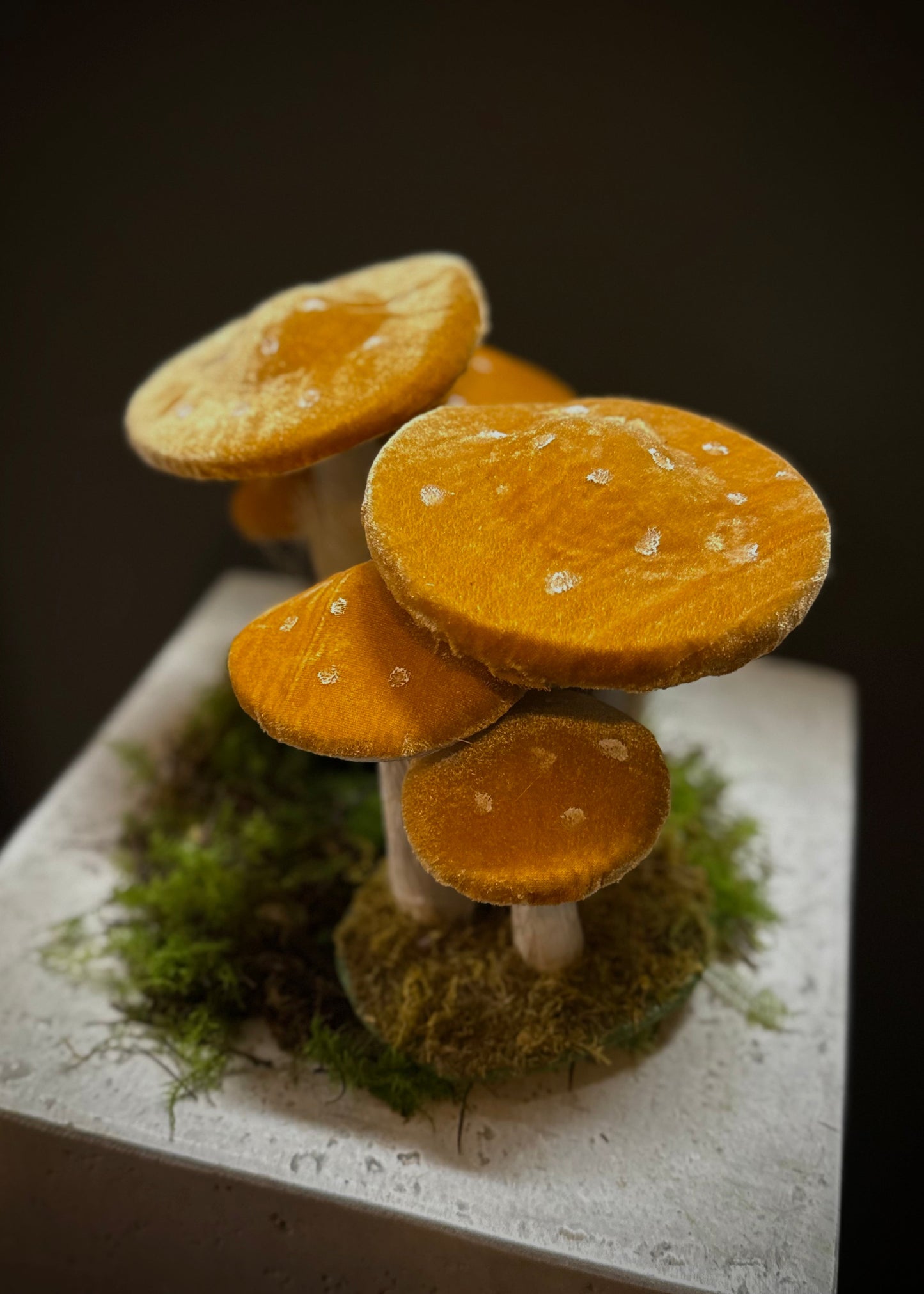 Forest Mushroom Decoration