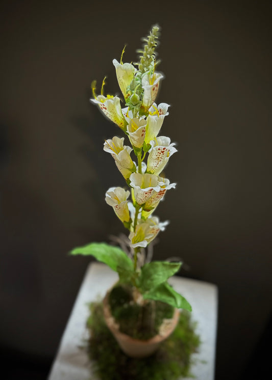 Handmade Everlasting Potted Colour