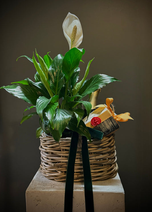 Celebration Gift Hamper