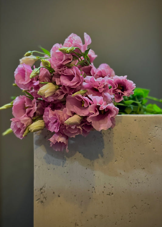 Pink Lisianthus (Bunch)