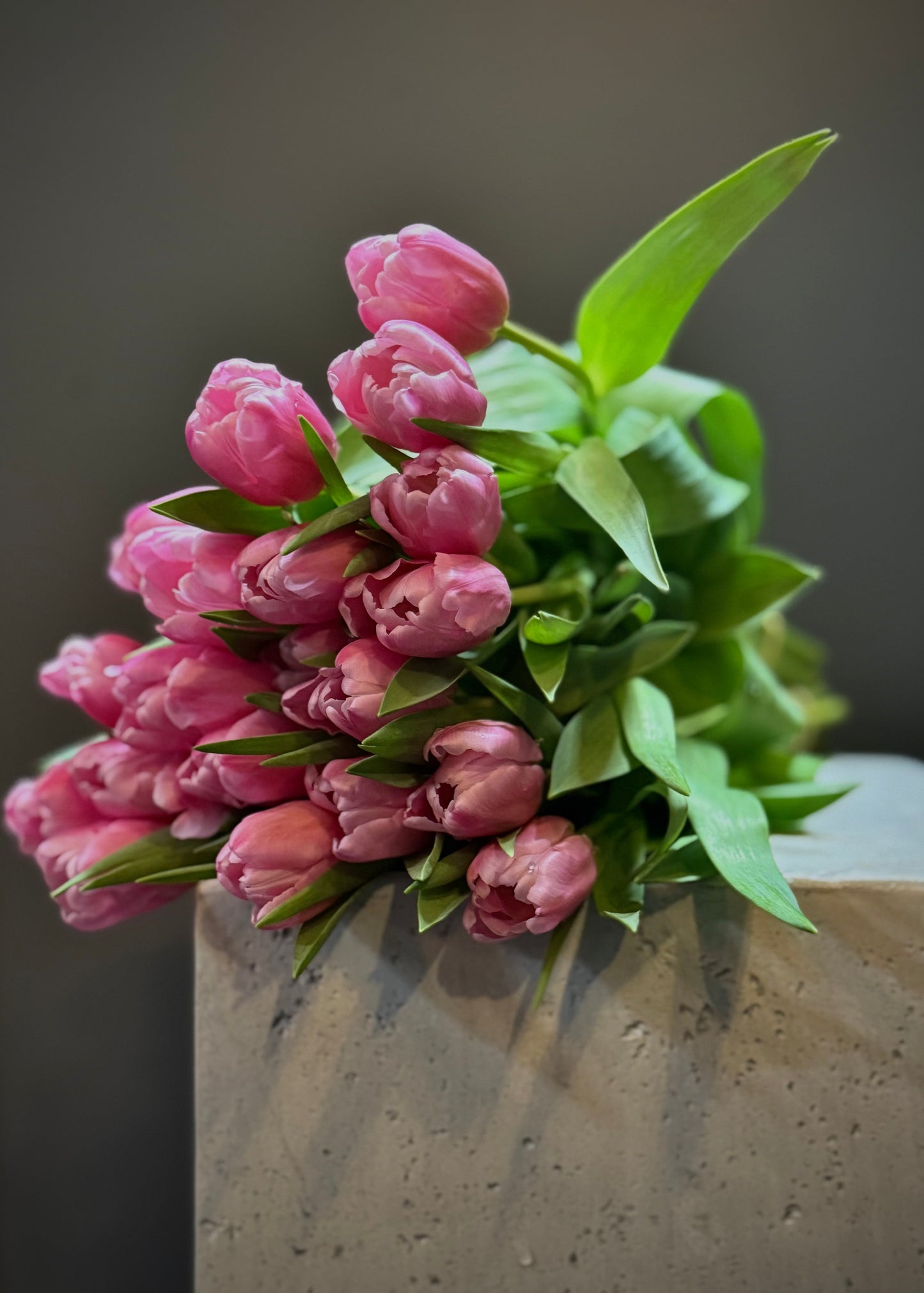 Pink Tulips (Bunch)