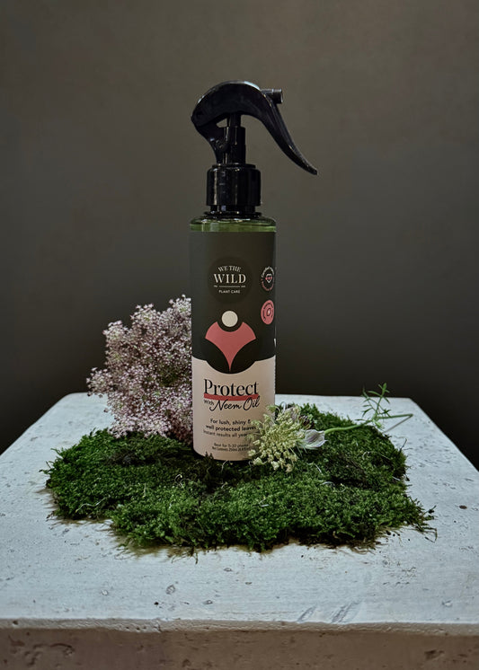 Protect Plant Spray with Neem Oil