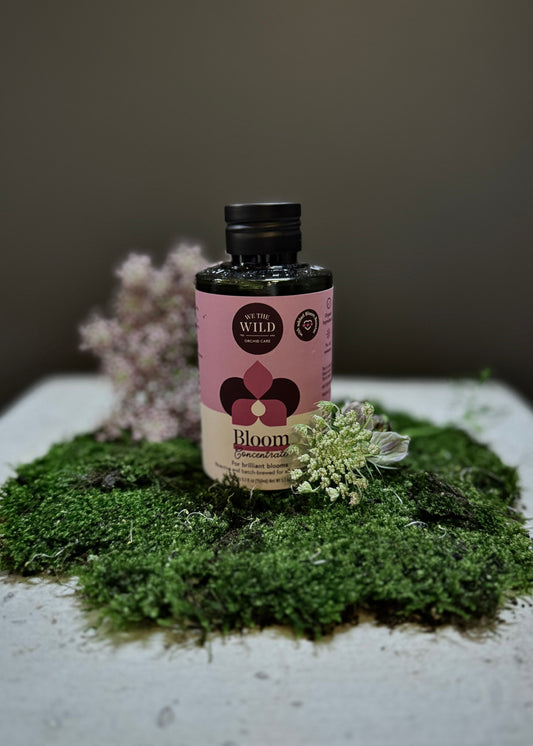 Bloom Liquid Concentrate for Orchids