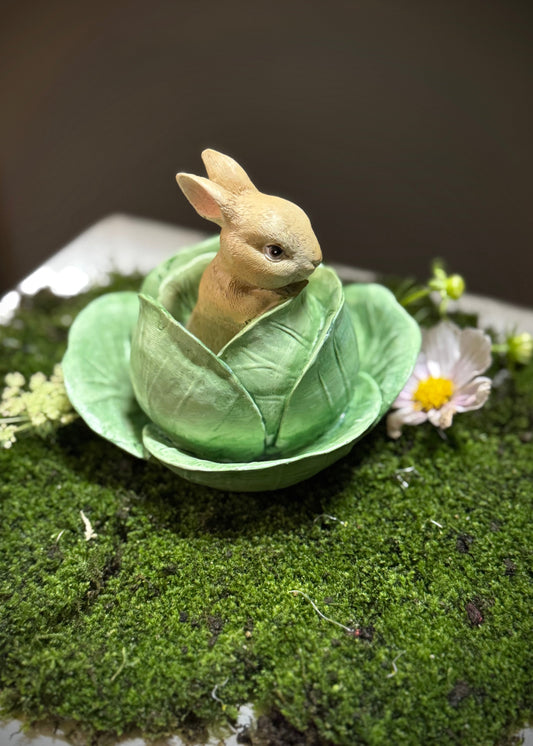 Cabbage Patch Bunny
