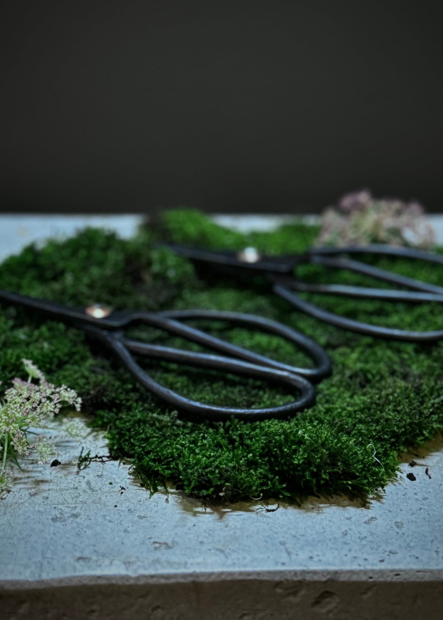 Herb Scissors
