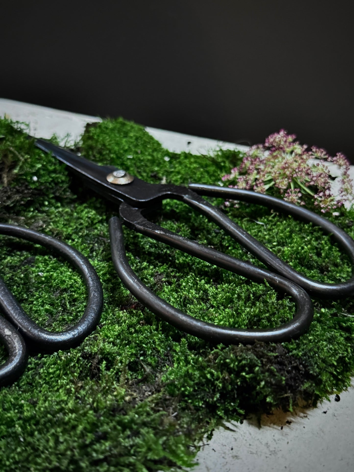 Herb Scissors