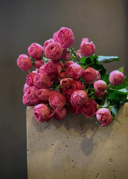 Spray Roses (Bunch)