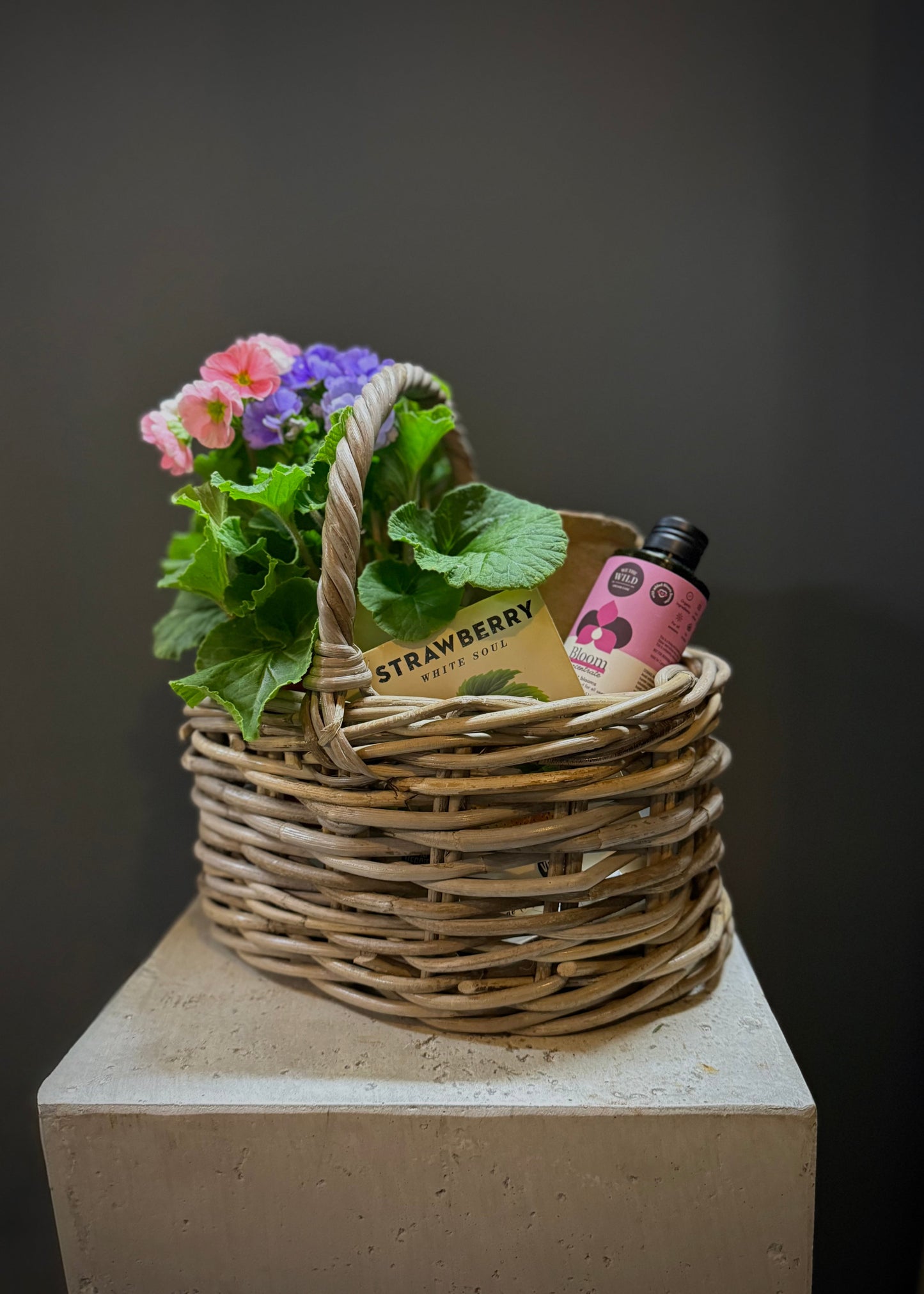 Garden Gift Hamper